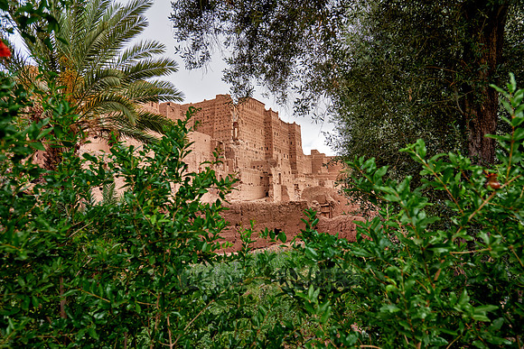 Kasbah Tamenougalt