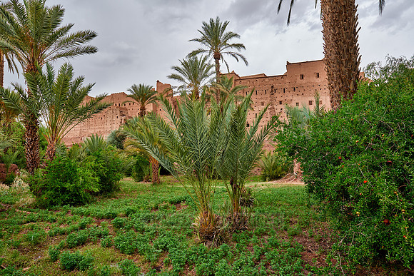 Kasbah Tamenougalt