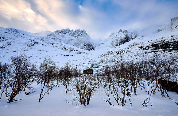 winter landscape at road to Nusfjord