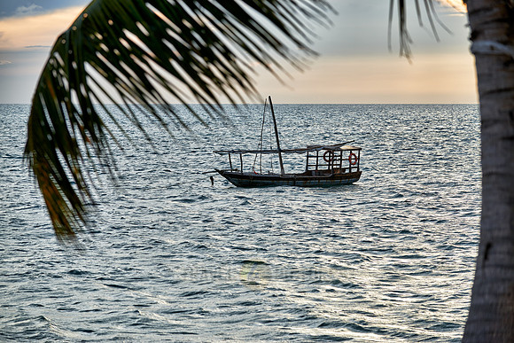 dhow swings in sea at sunset