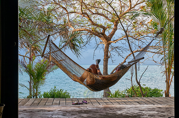 Hammock in front of palm trees and sea