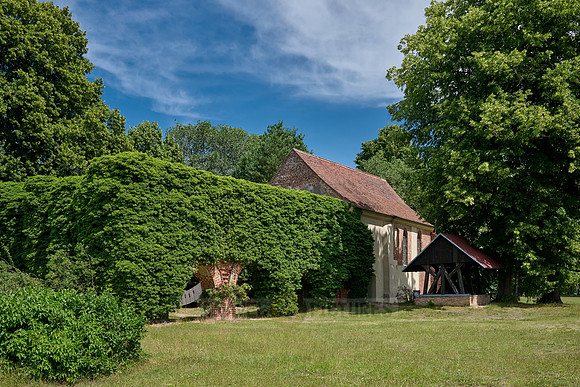 Ruins of the Cistercian monastery of Himmelpfort