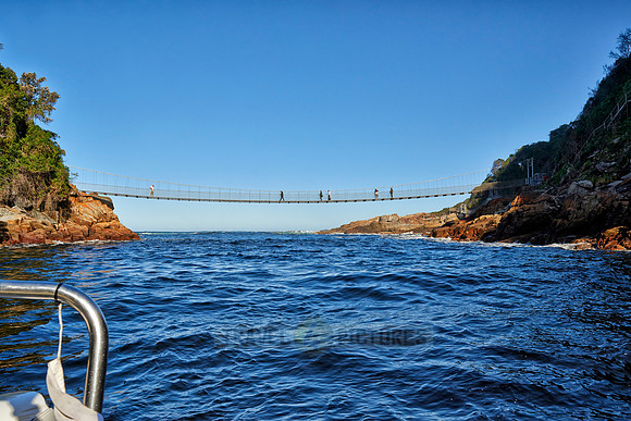 suspension bridge above Storms River