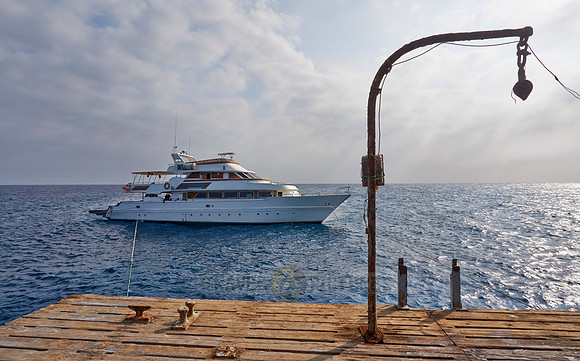 liveaboard diving cruise ship on Daedalus Reef