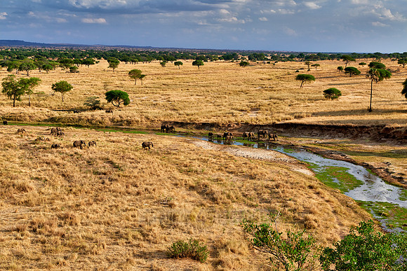 landscape in Tarangire National Park