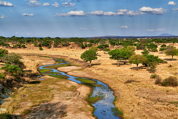 landscape in Tarangire National Park