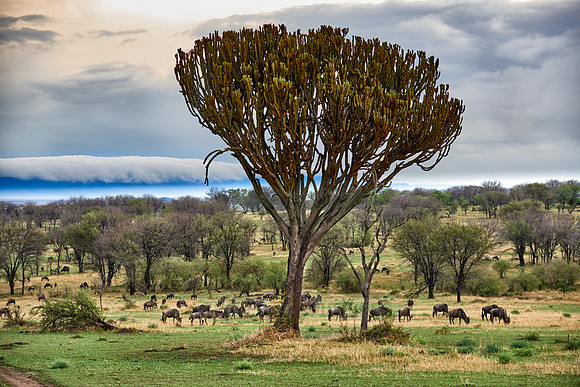 cloud formations over Great Rift Valley