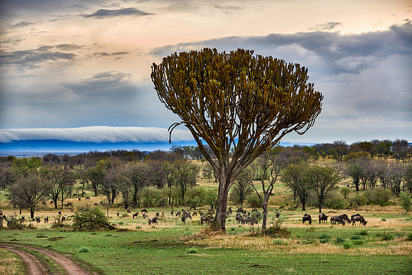 cloud formations over Great Rift Valley