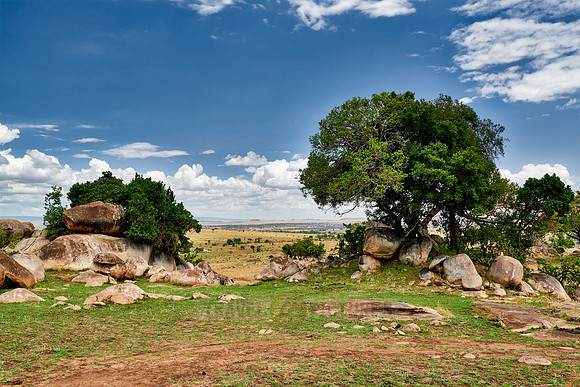 landscape in Serengeti National Park