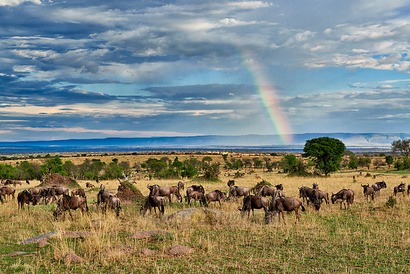 rainbow over Great Rift Valley