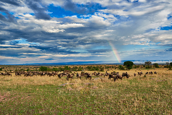 rainbow over Great Rift Valley