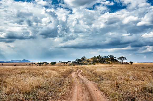 roads through plains