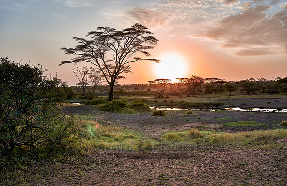 sunrise in Serengeti National Park