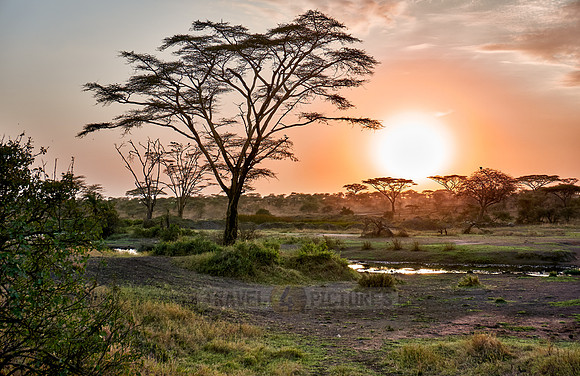 sunrise in Serengeti National Park