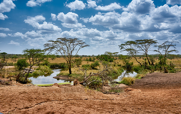 landscape in Serengeti National Park