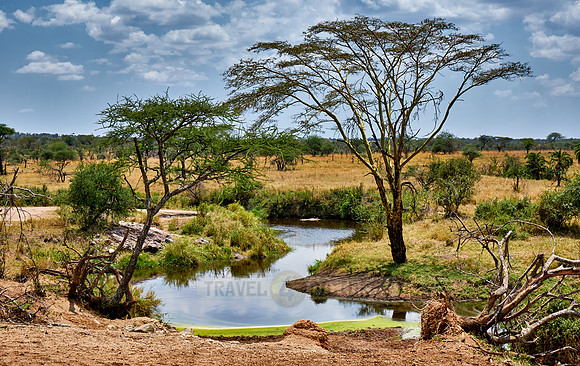 landscape in Serengeti National Park