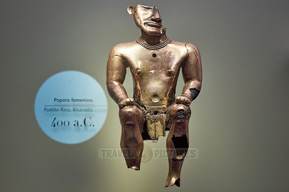 filigree golden pieces of exhibition