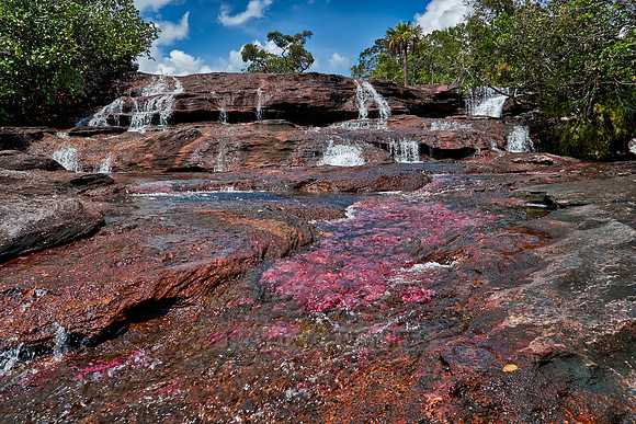 Cano Cristales in Park National Serrania de la Macarena