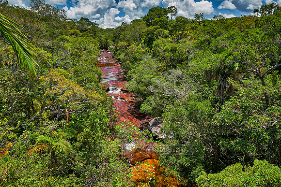 Cano Cristales in Park National Serrania de la Macarena