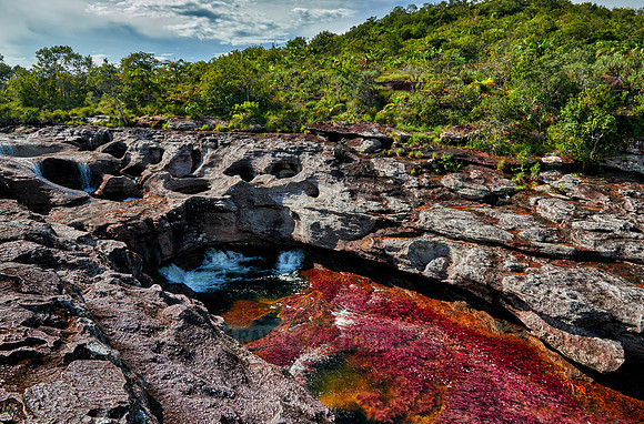 Cano Cristales in Park National Serrania de la Macarena