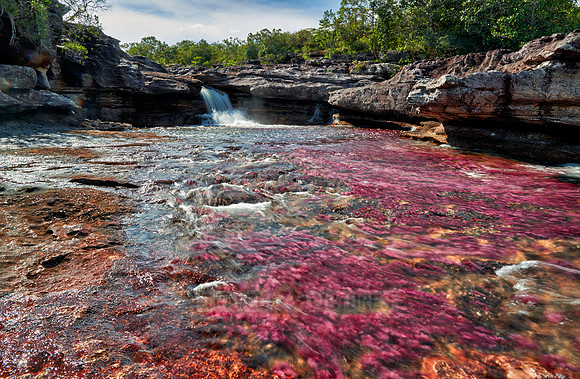 a waterfall at Cano Cristales