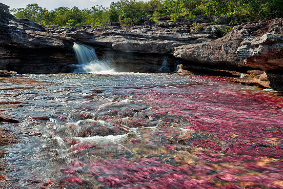 a waterfall at Cano Cristales