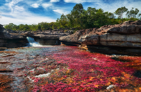 a waterfall at Cano Cristales