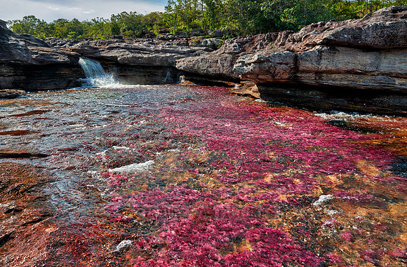 a waterfall at Cano Cristales