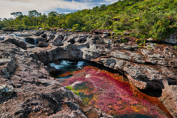 Cano Cristales in Park National Serrania de la Macarena