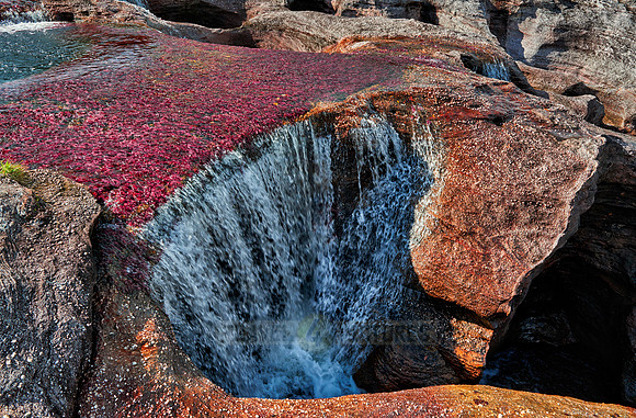 a waterfall at Cano Cristales