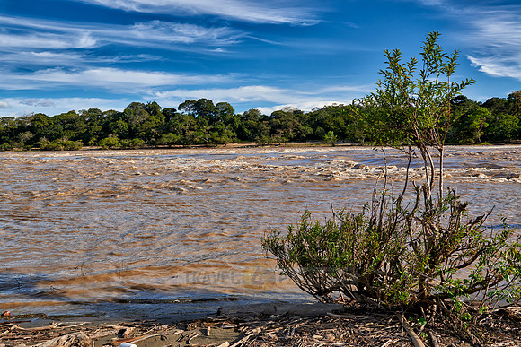 white water rapids