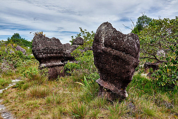 Ciudad de Piedra