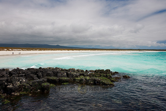 Tortuga Bay
