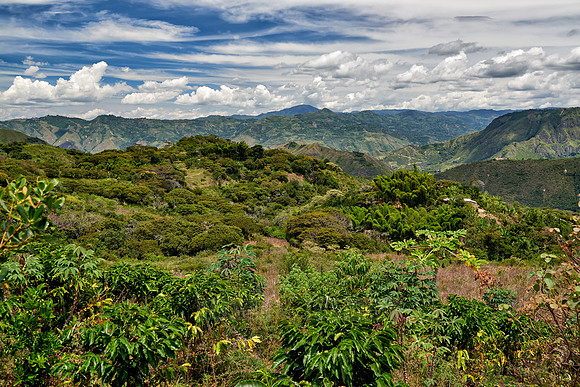 landscape of Andes mountains in Tierradentro