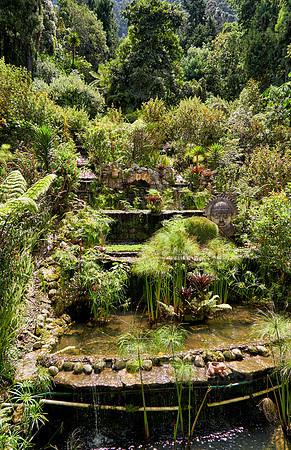 garden at cable car station