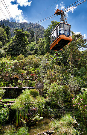 garden at cable car station