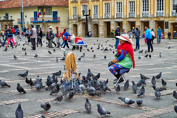 woman selling pigeon feed