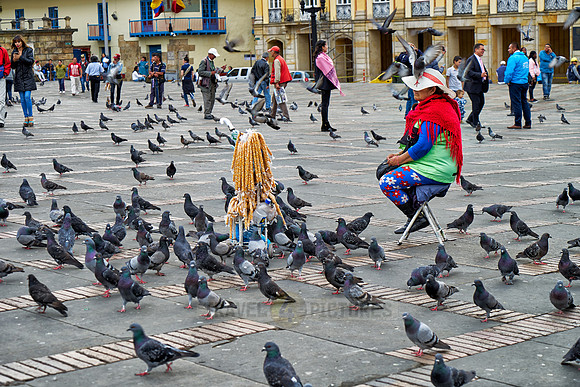 woman selling pigeon feed