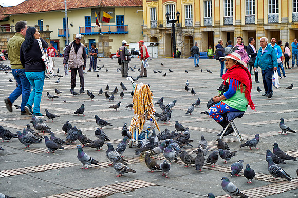 woman selling pigeon feed