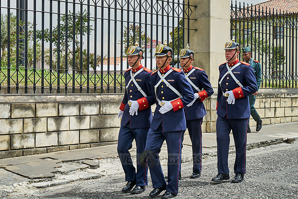 change of palace guard at presidential palace