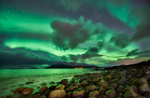 Aurora Borealis or northern lights over Kaldfjord