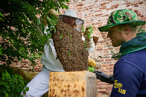 Beekeeper with swarmed bee colony