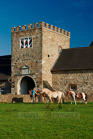 young lady with horses in front of Holzheim castle