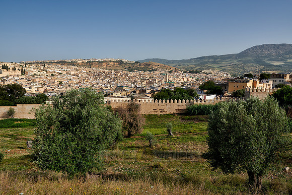 view onto Fez