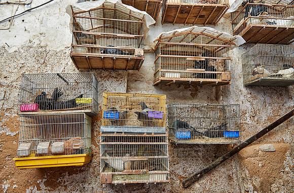 shops in medina of Fez