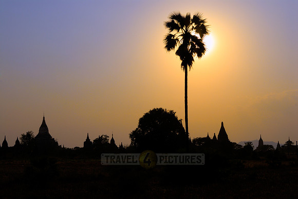 Silhouettes of pagodas and palm trees in the sunset