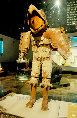 Eagle Warrior or eagle knight