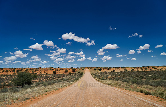 on the road