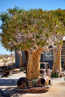 rusty classic car as decoration in Canyon Road House