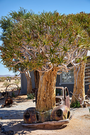 rusty classic car as decoration in Canyon Road House
